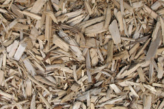 biomass boilers Mannerston